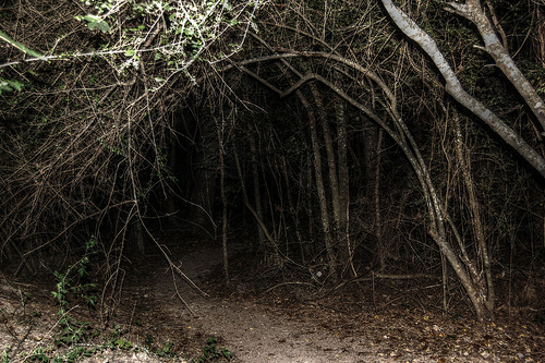 Haunted hiking trail